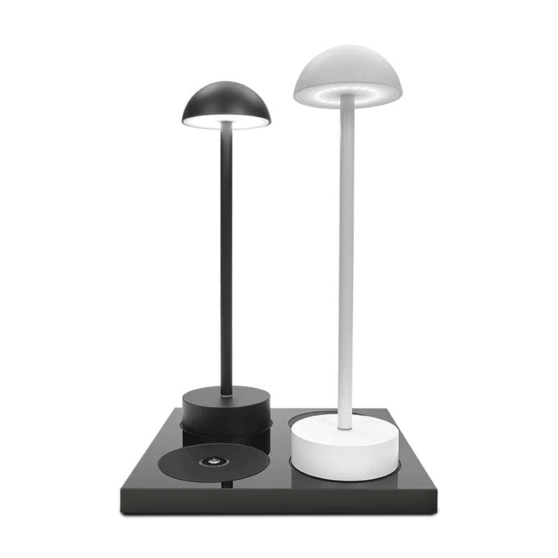 PIATTAF. RICARICA LAMPADA LARIO 4PT